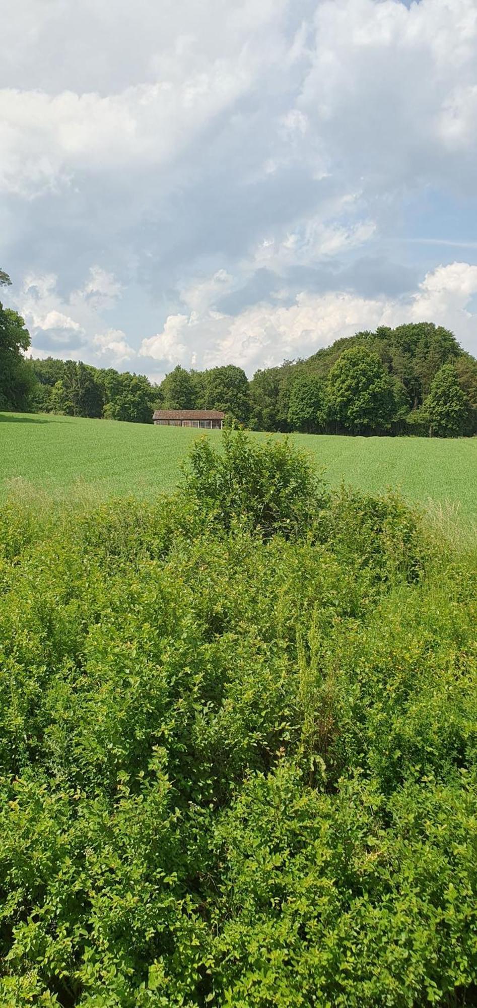 Gasthaus Zum Schneider Pottenstein Esterno foto